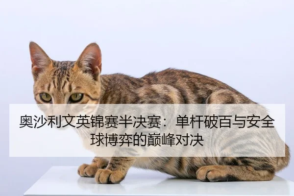 奥沙利文英锦赛半决赛：单杆破百与安全球博弈的巅峰对决