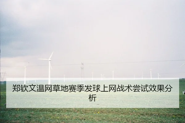 zheng-qin-wen-wen-wang-cao-di-sai-ji-fa-qiu-shang-wang-zhan-shu-chang-shi-xiao-guo-fen-xi-2-126.jpg