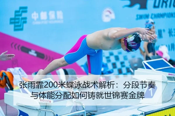 zhang-yu-fei-mi-die-yong-zhan-shu-jie-xi-fen-duan-jie-zou-yu-ti-neng-fen-pei-ru-he-zhu-jiu-shi-jin-sai-jin-pai-3-375.jpg