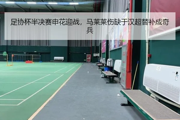 足协杯半决赛申花迎战，马莱莱伤缺于汉超替补成奇兵