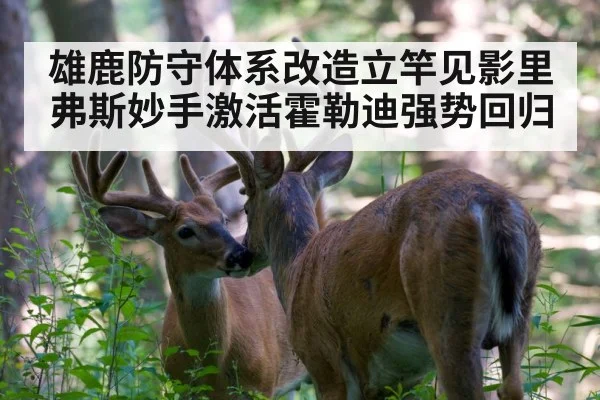 雄鹿防守体系改造立竿见影里弗斯妙手激活霍勒迪强势回归