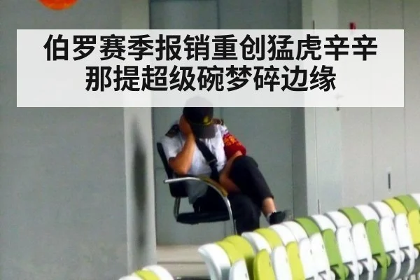 伯罗赛季报销重创猛虎辛辛那提超级碗梦碎边缘